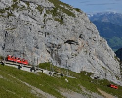 Pilatus zubačka